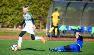 2018.11.17 WZPN Poznaniak Poznan - Warta Poznan