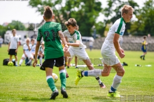 2019.08.23 Falubaz Zielona Gora - Warta Poznan