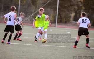 2016.09.25 WZPN Warta Poznan - AP Debiec