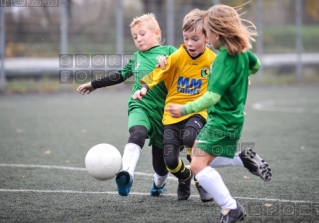 2013.10.27 Sparing Warta Poznan - Koziolek Poznan