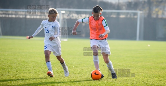 2018.11.11 WZPN Warta Poznan - Poznanska 13 Poznan