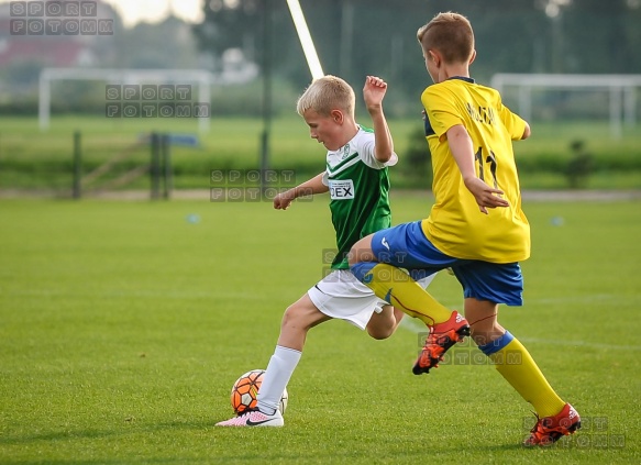 Sparing Korona Zakrzewo - Warta Poznan