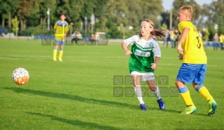 Sparing Korona Zakrzewo - Warta Poznan