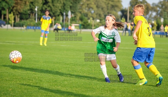 Sparing Korona Zakrzewo - Warta Poznan Sparing Korona Zakrzewo - Warta Poznan