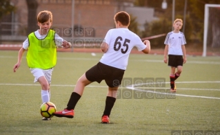 2016.09.25 WZPN Warta Poznan - AP Debiec