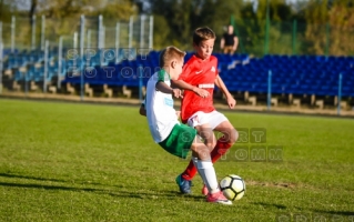 2017.10.01 liga WZPN SF Lubon - Warta Poznan