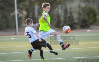 2016.09.25 WZPN Warta Poznan - AP Debiec