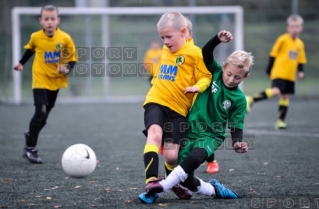 2013.10.27 Sparing Warta Poznan - Koziolek Poznan