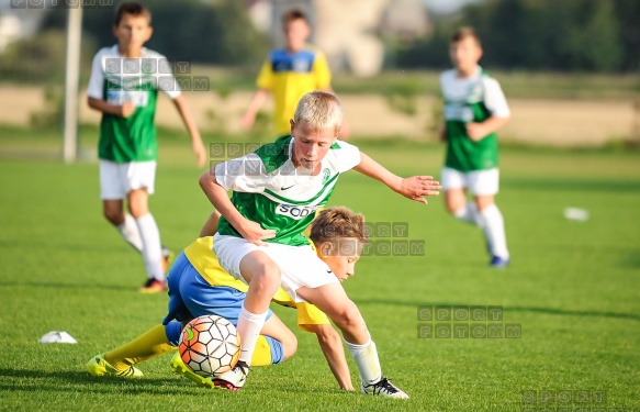 Sparing Korona Zakrzewo - Warta Poznan