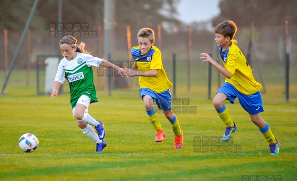 Sparing Korona Zakrzewo - Warta Poznan