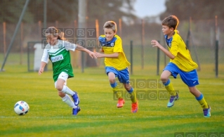 Sparing Korona Zakrzewo - Warta Poznan