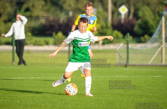 Sparing Korona Zakrzewo - Warta Poznan