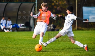 2018.11.11 WZPN Warta Poznan - Poznanska 13 Poznan