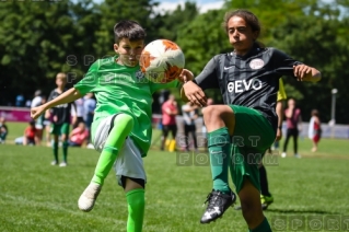 2019.06.09 Hannover Cup