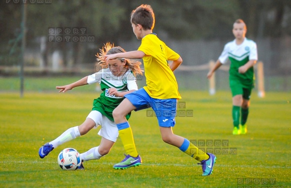 Sparing Korona Zakrzewo - Warta Poznan