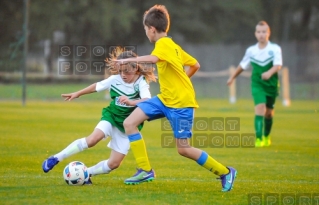 Sparing Korona Zakrzewo - Warta Poznan