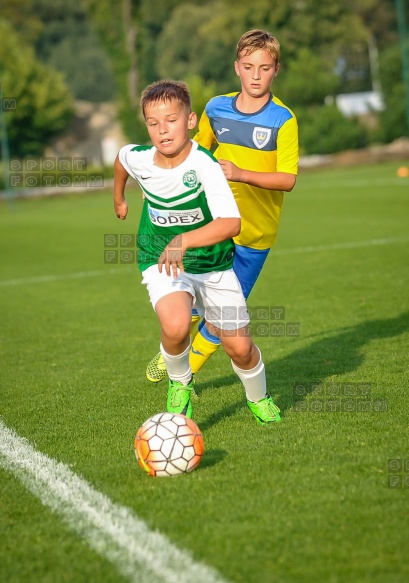 Sparing Korona Zakrzewo - Warta Poznan