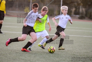 2016.09.25 WZPN Warta Poznan - AP Debiec