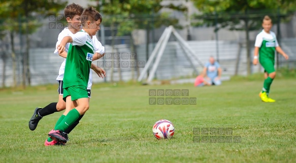 2016.09.03 WZPN MKS Przemyslaw - Warta Poznan