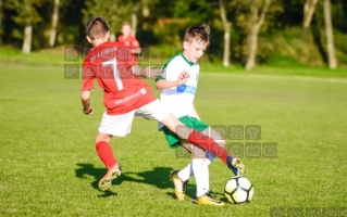 2017.10.01 liga WZPN SF Lubon - Warta Poznan