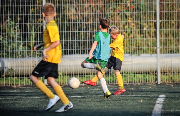 2014.10.03 Sparing Warta Poznan - Koziolek Poznan