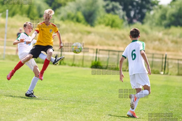 2019.06.22 AMF Szczecin - Warta Poznan