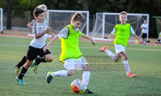 2016.09.25 WZPN Warta Poznan - AP Debiec