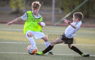 2016.09.25 WZPN Warta Poznan - AP Debiec