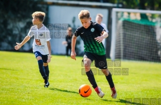 2018.09.08 WZPN Warta Pozna - SF Lubon