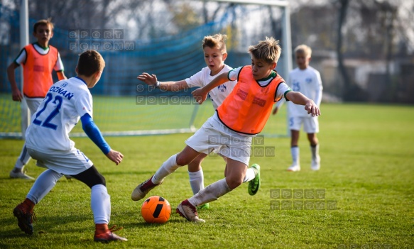 2018.11.11 WZPN Warta Poznan - Poznanska 13 Poznan 2018.11.11 WZPN Warta Poznan - Poznanska 13 Poznan