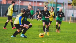 2018.09.26 WZPN Warta Poznań - Canarinhos Skorzewo